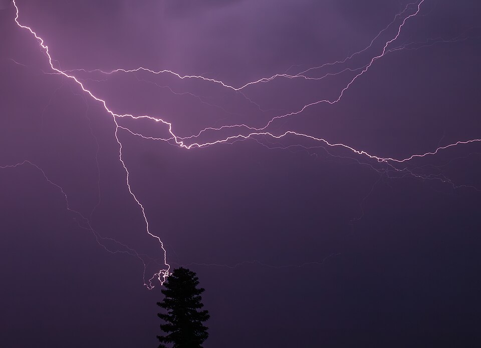 A bolt hitting a lone conifer, which is why you never shelter under a tree, Germany
